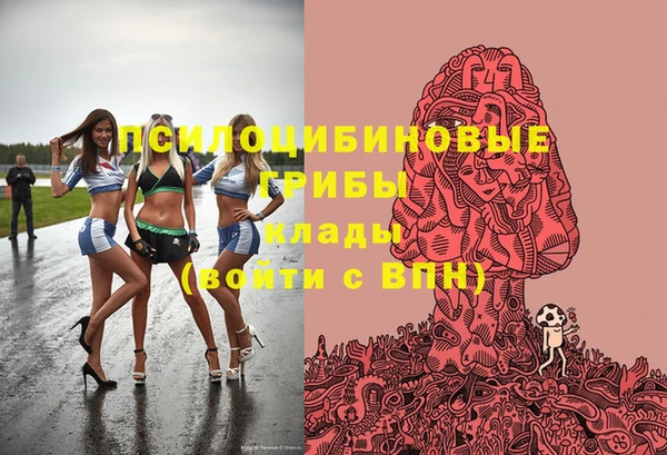 mdpv Елабуга