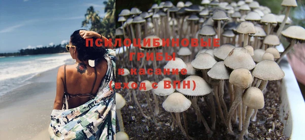 а пвп мука Ельня