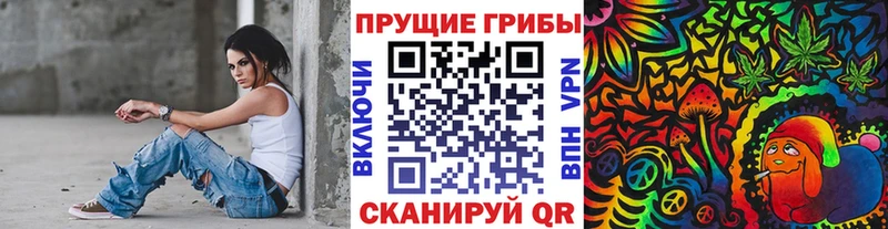 Купить где  Карпинск  Галлюциногенные грибы GOLDEN TEACHER 
